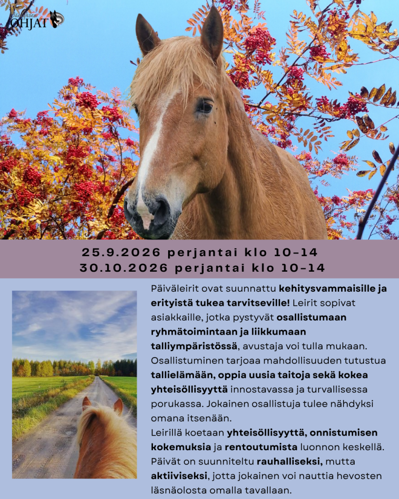 Erityisten syksyn heppaleirit